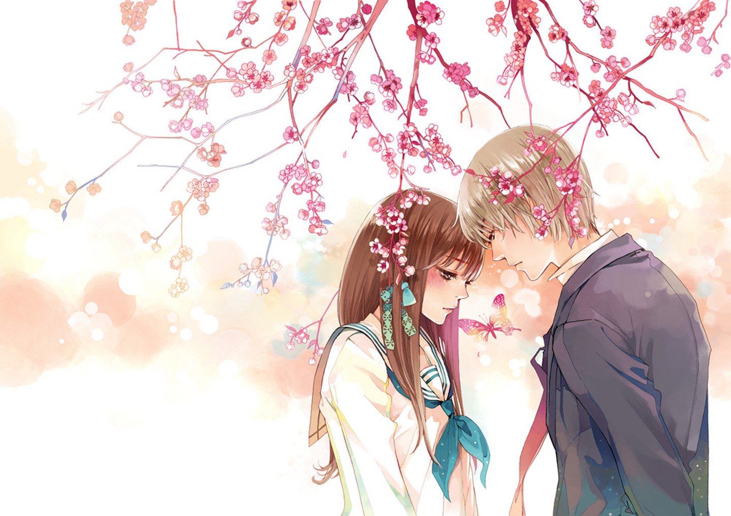 anime, Couple, Butterfly, Animal, Tree, Sakura, Love, Girl, Male, School, Uniform Wallpaper