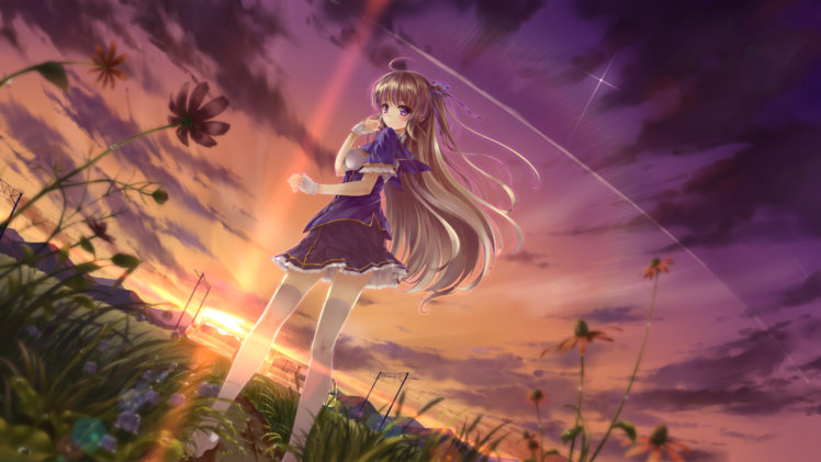 blonde, Hair, Blush, Brown, Hair, Clouds, Flowers, Grass, Landscape, Long, Hair, Original, Purple, Eyes, Scenic, Seifuku, Skirt, Sky, Sunset, Tagme, Thighhighs, Train HD Wallpaper Desktop Background