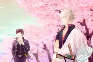 anime, Series, Gintama, Sakura, Smile, Sword, Character, Katana