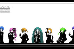 gumi, Hatsune, Miku, Kagamine, Len, Kagamine, Rin, Kaito, Kamui, Gakupo, Megurine, Luka, Meiko, Tokiti, Vocaloid