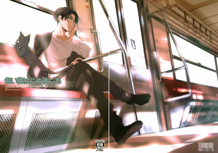 anime, Shingeki, No, Kyojin, Series, Levi, Ackerman, Character HD Wallpaper Desktop Background