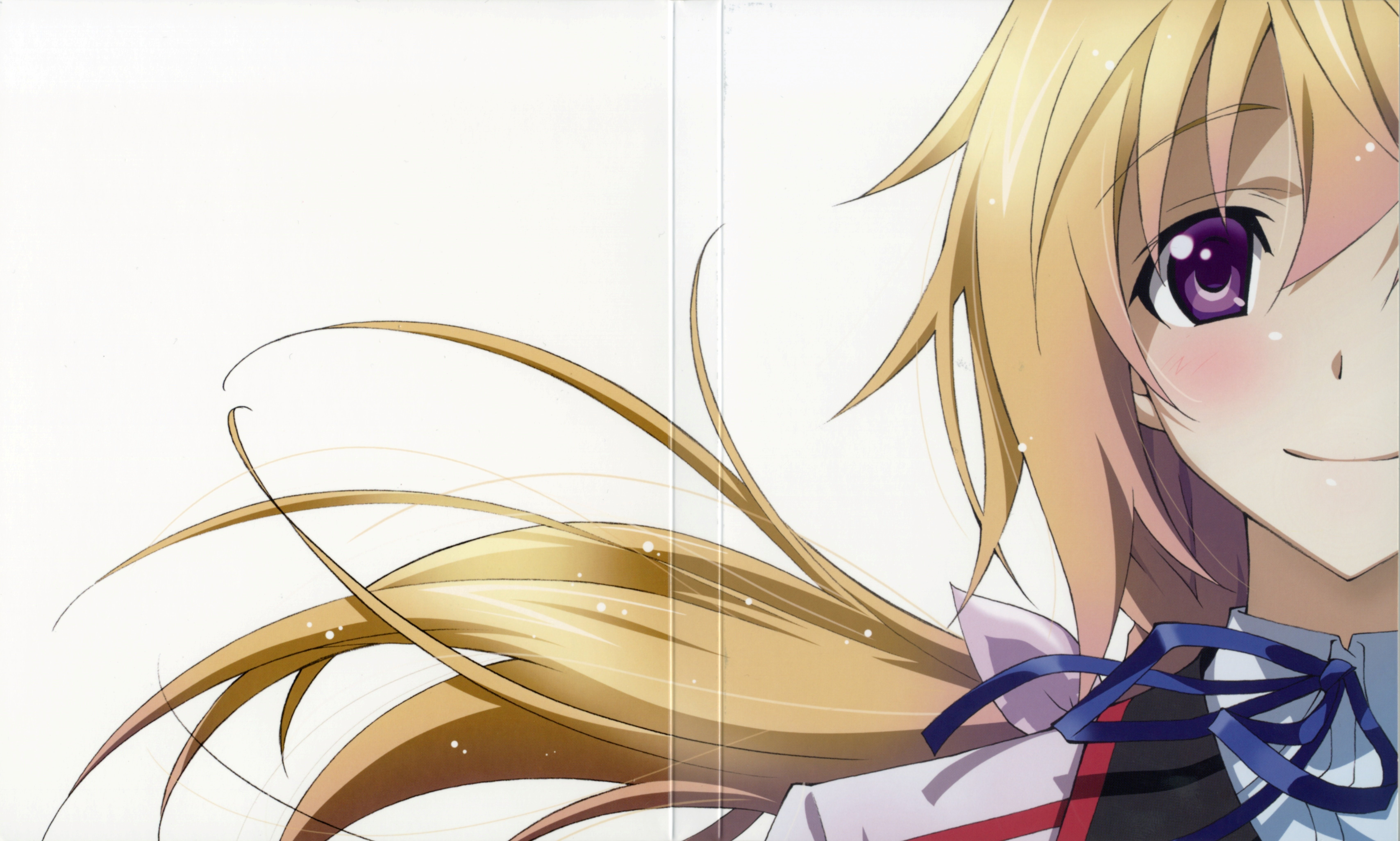 infinite, Stratos, Charlotte, Dunois Wallpaper