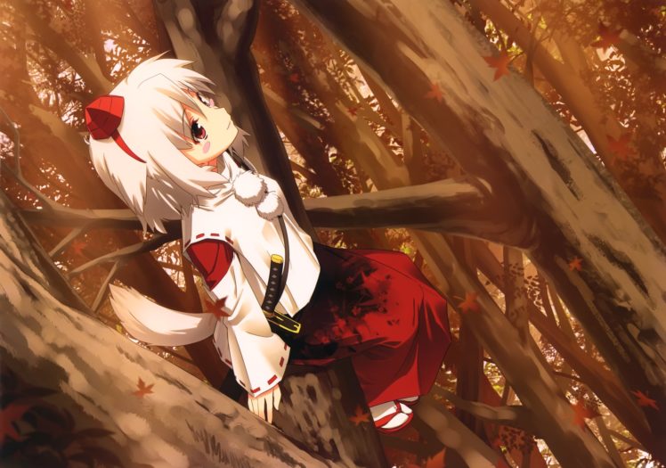 animal, Ears, Blush, Forest, Hat, Inubashiri, Momiji, Japanese, Clothes, Katana, Miko, Red, Eyes, Scenic, Socks, Sword, Tail, Touhou, Tree, Weapon, White, Hair, Wolfgirl HD Wallpaper Desktop Background