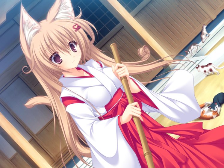 animal, Ears, Cat, Catgirl, Japanese, Clothes, Miko, Neko, Koi HD Wallpaper Desktop Background