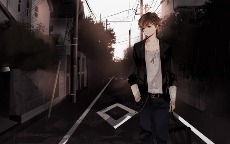 anime, Boy, Brown, Hair, Brown, Eyes, Walk, Street HD Wallpaper Desktop Background