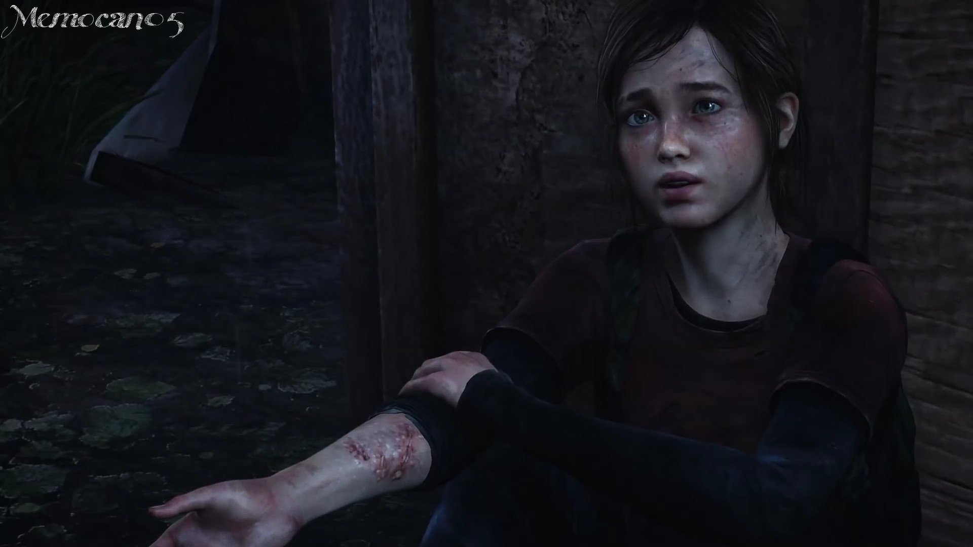 the, Last, Of, Us Wallpaper