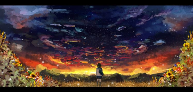 clouds, Flowers, Grass, Original, Scenic, Seifuku, Sky, Stars, Sunset HD Wallpaper Desktop Background
