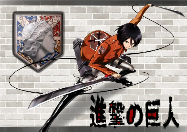 shingeki, No, Kyojin, Mikasa, Ackerman HD Wallpaper Desktop Background