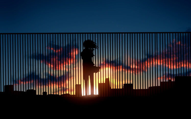 anime, Sunset, Fence, Silhouette, Original HD Wallpaper Desktop Background