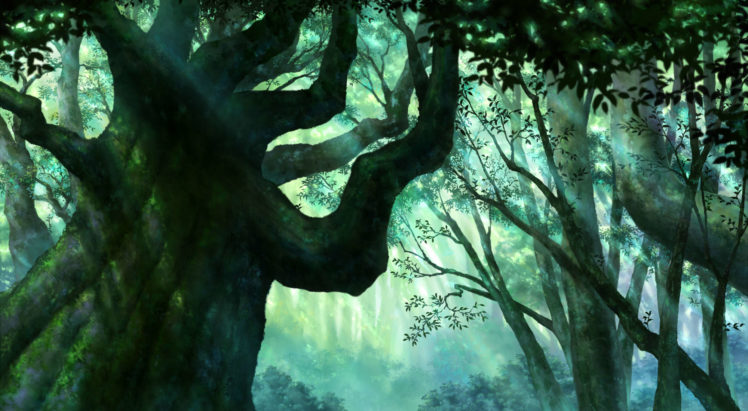 forest, Iy, Tujiki, Landscape, Original, Scenic, Tree, Trees, Nature HD Wallpaper Desktop Background