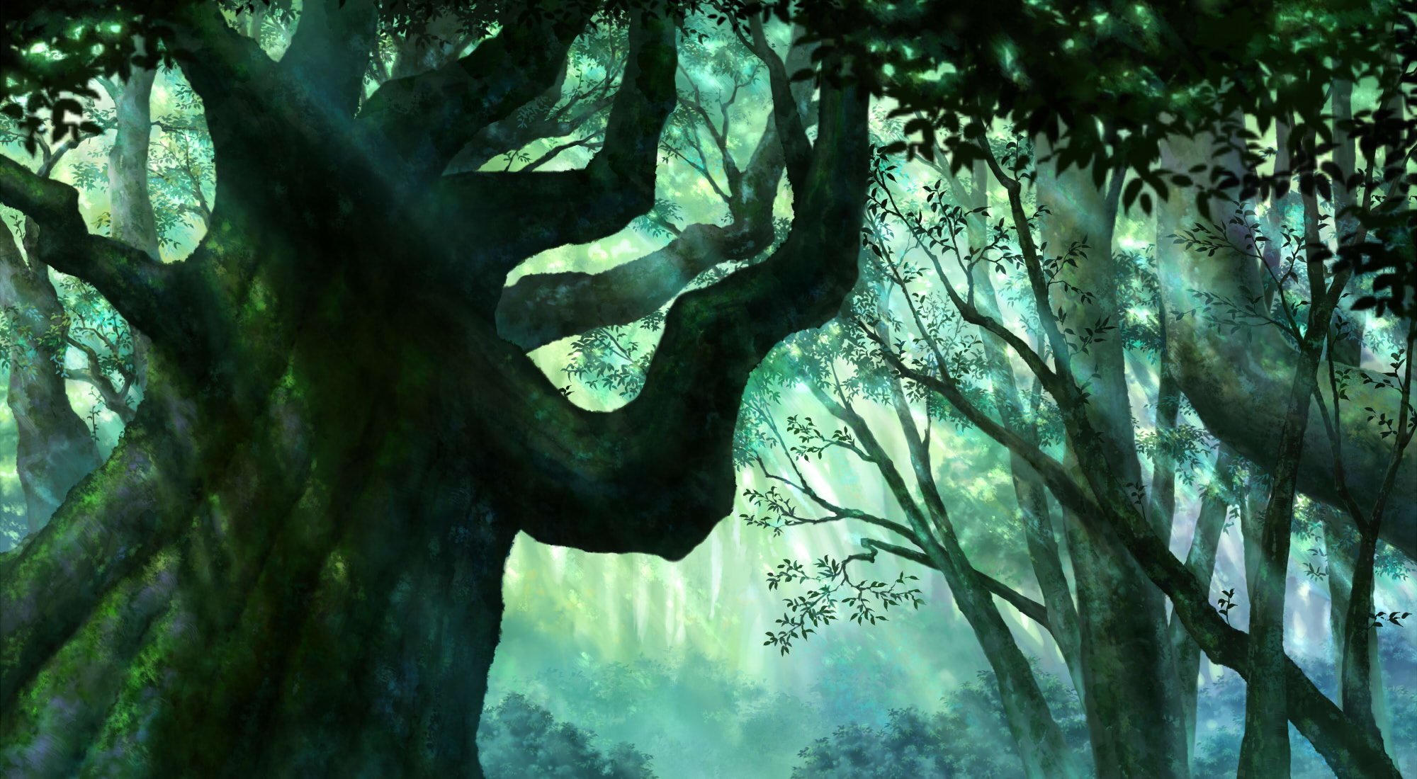 forest, Iy, Tujiki, Landscape, Original, Scenic, Tree, Trees, Nature Wallpaper