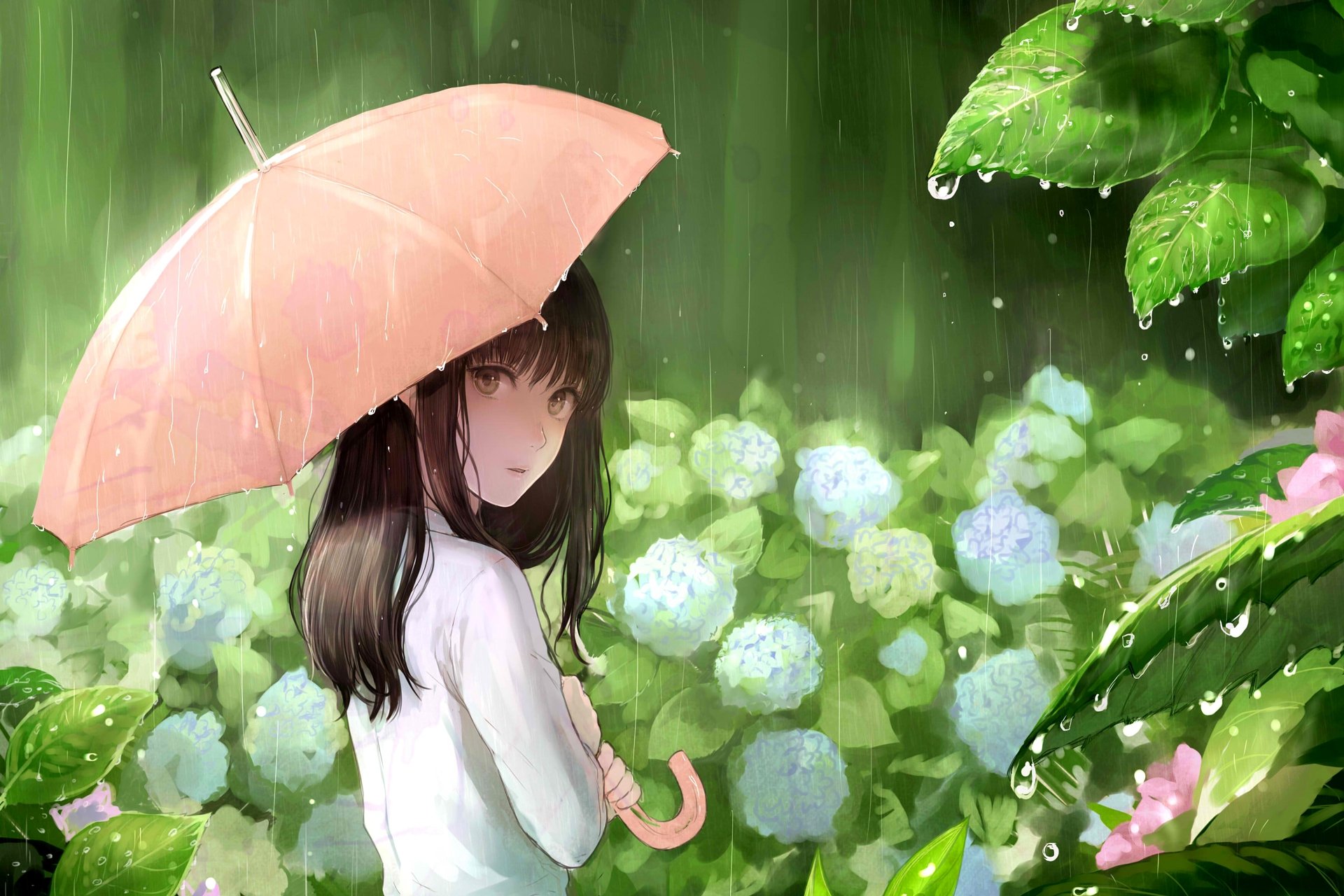 anime, Girl, Umbrella, Flower, Pretty, Cute, Spring, Rain Wallpaper