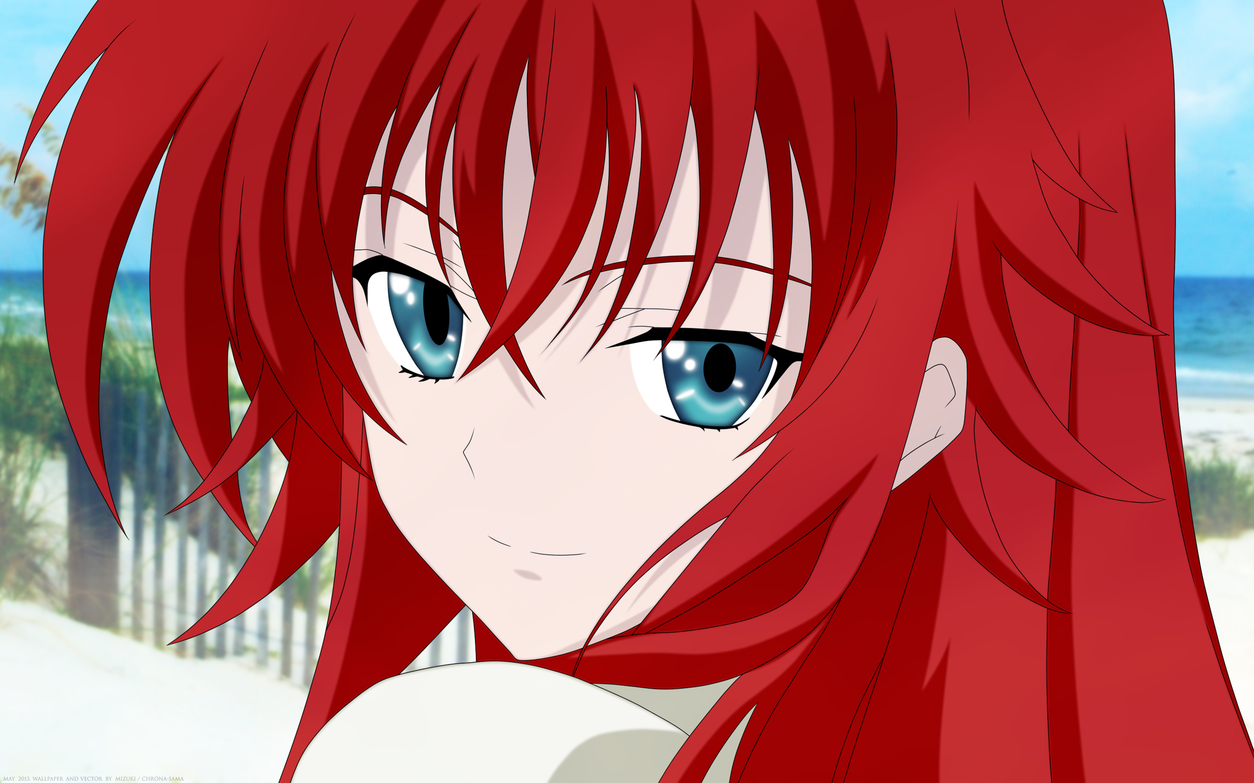 high, School, Dxd, Series, Rias, Gremory Wallpapers HD / Desktop and Mobile...