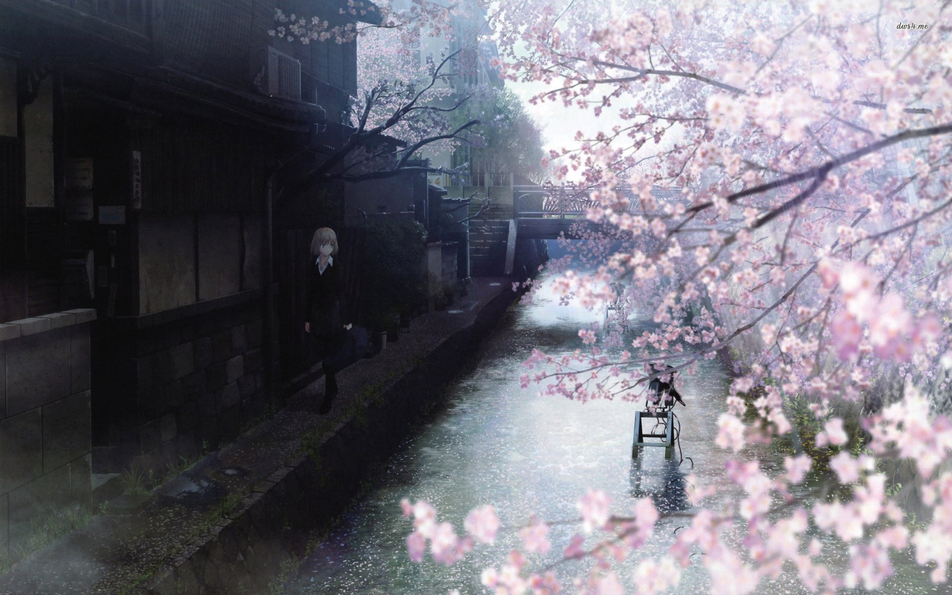 anime, Tree, Sakura, River, Girl Wallpaper