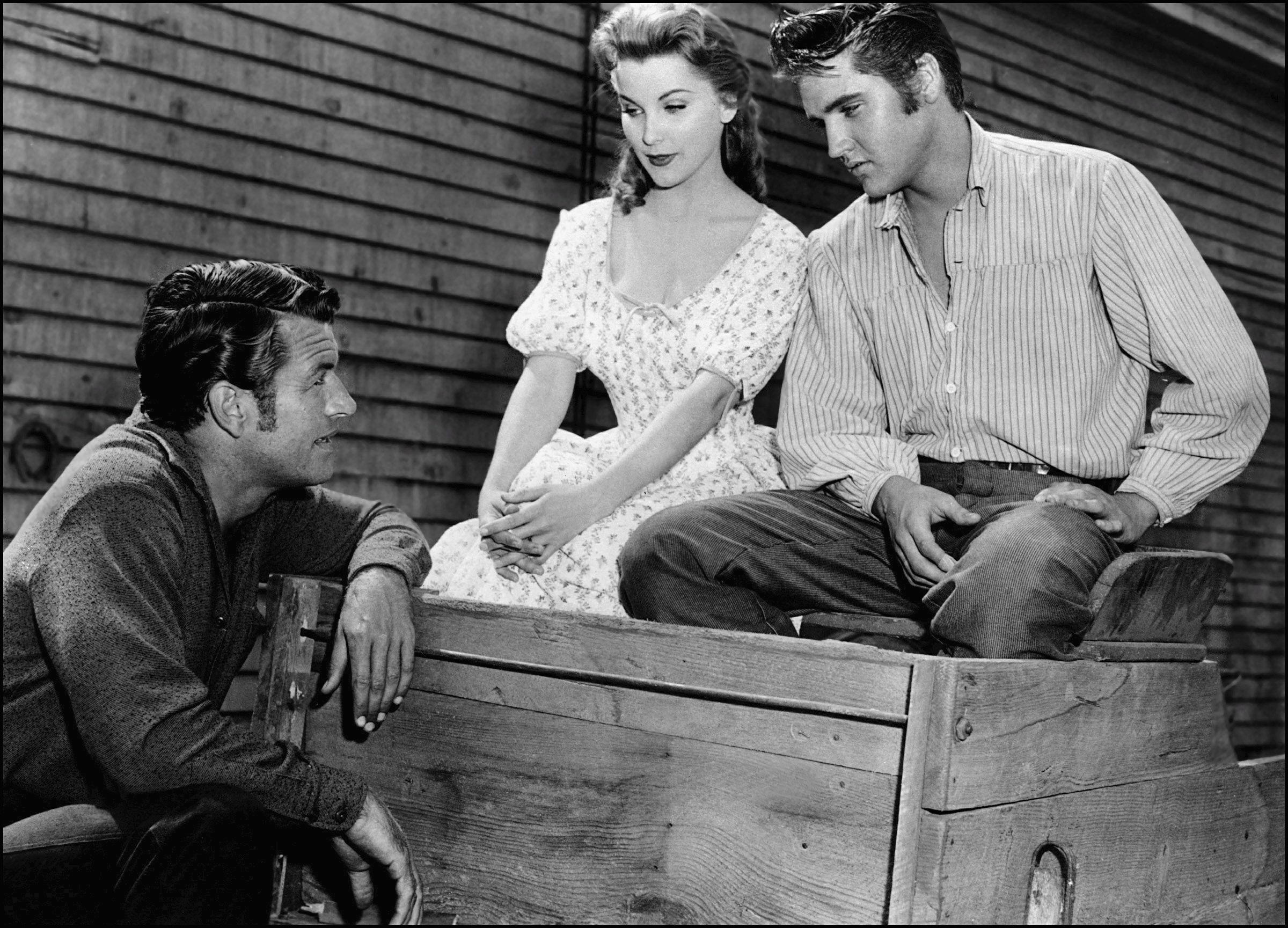 elvis, Presley, Rock, Men, Hj Wallpaper