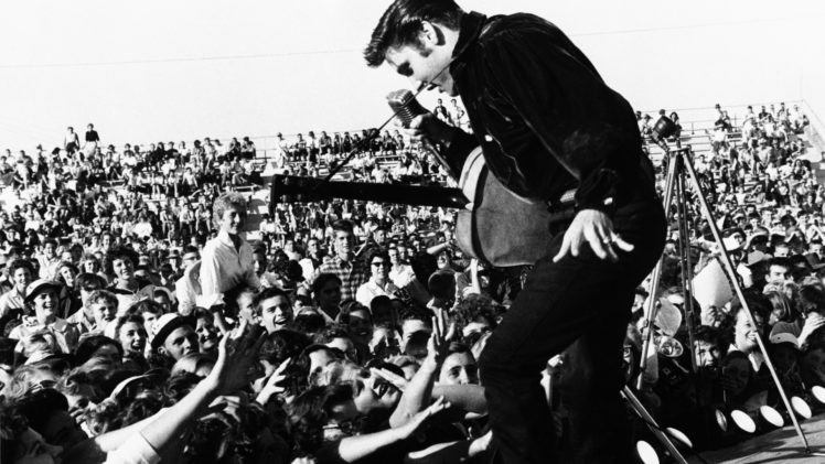elvis, Presley, Rock, Men, Concert HD Wallpaper Desktop Background