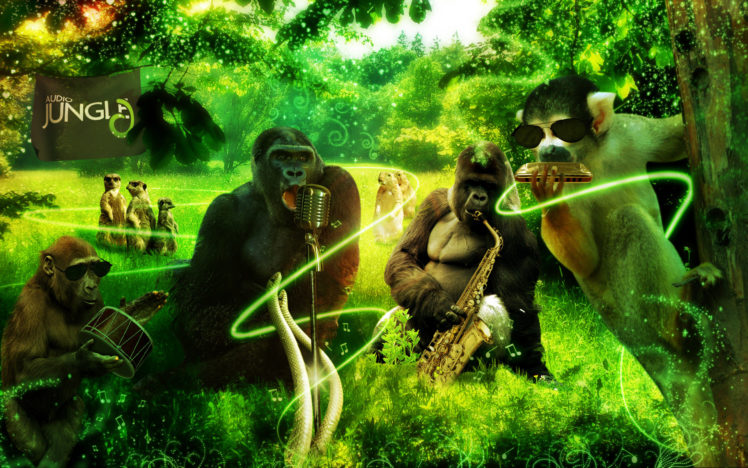 jungle, Animals, Music, 3d, Art, Gorilla, Monkey, Meerkat HD Wallpaper Desktop Background