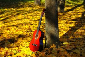 foliage, Autumn, Leaves, Mood, Guitar