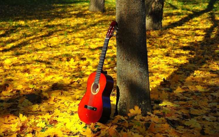 foliage, Autumn, Leaves, Mood, Guitar HD Wallpaper Desktop Background