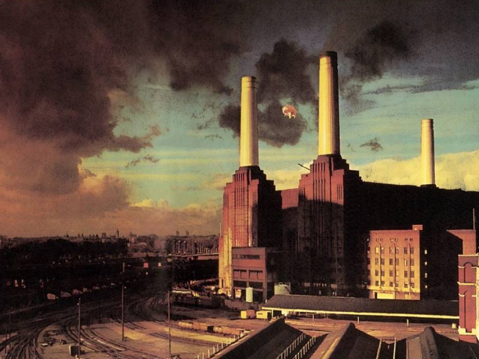 pink, Floyd, Pigs Wallpaper