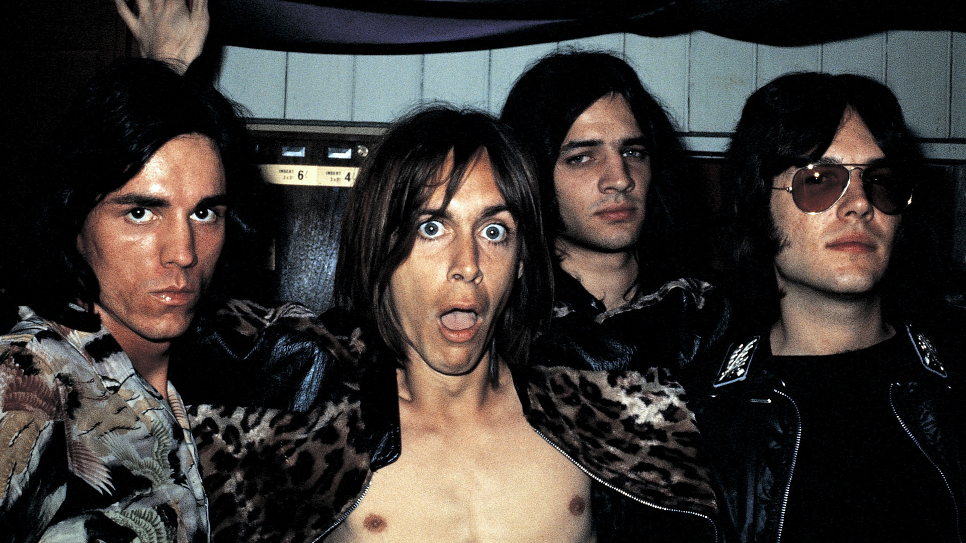 the, Stooges, Iggy, Pop Wallpaper