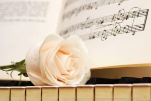 notes, Keys, Rose, White, Piano, Flowers