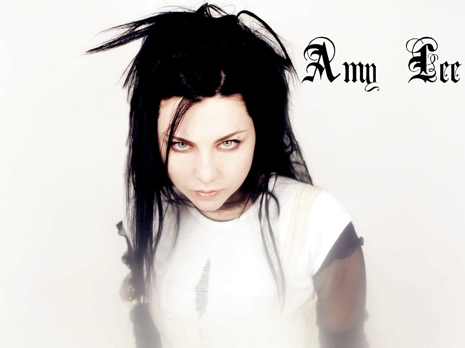 amy lee evanescence singer musician