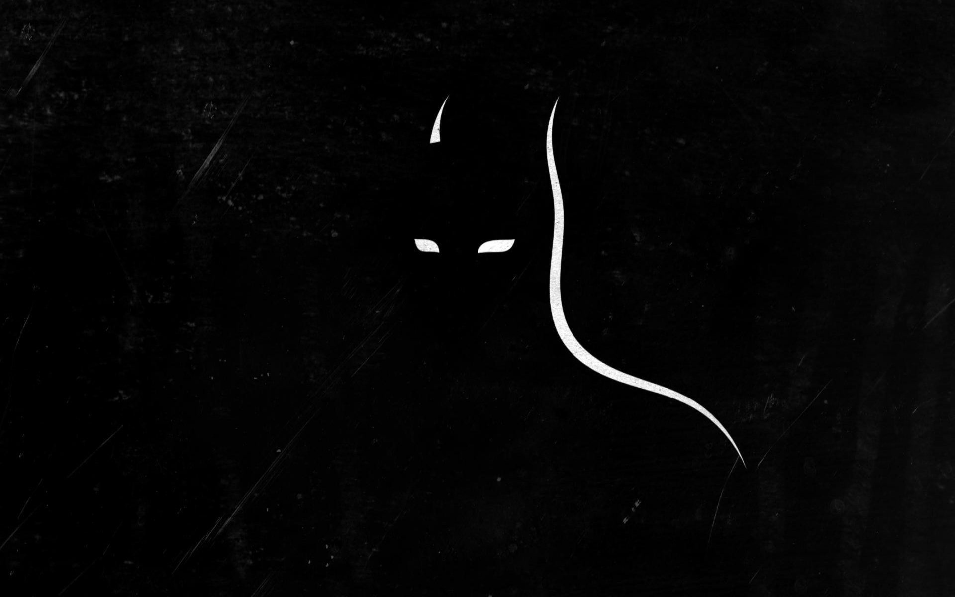 dc comics, Superhero, Hero, D c, Comics, Warrior, Batman Wallpaper