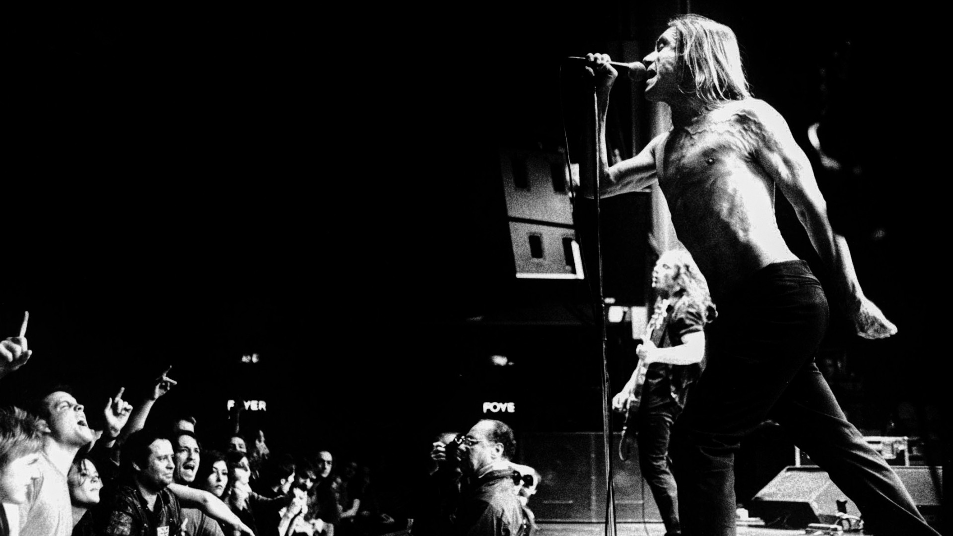 iggy, Pop, Bw, Concert, Band, Bands Wallpapers HD / Desktop and Mobile  Backgrounds