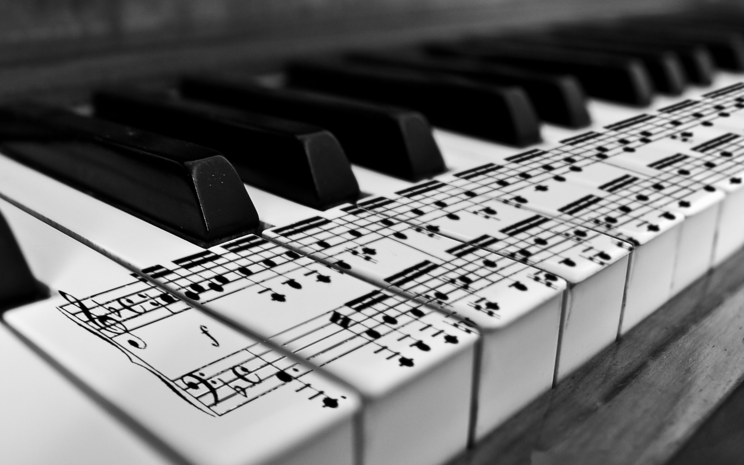 music, Piano, Monochrome Wallpaper