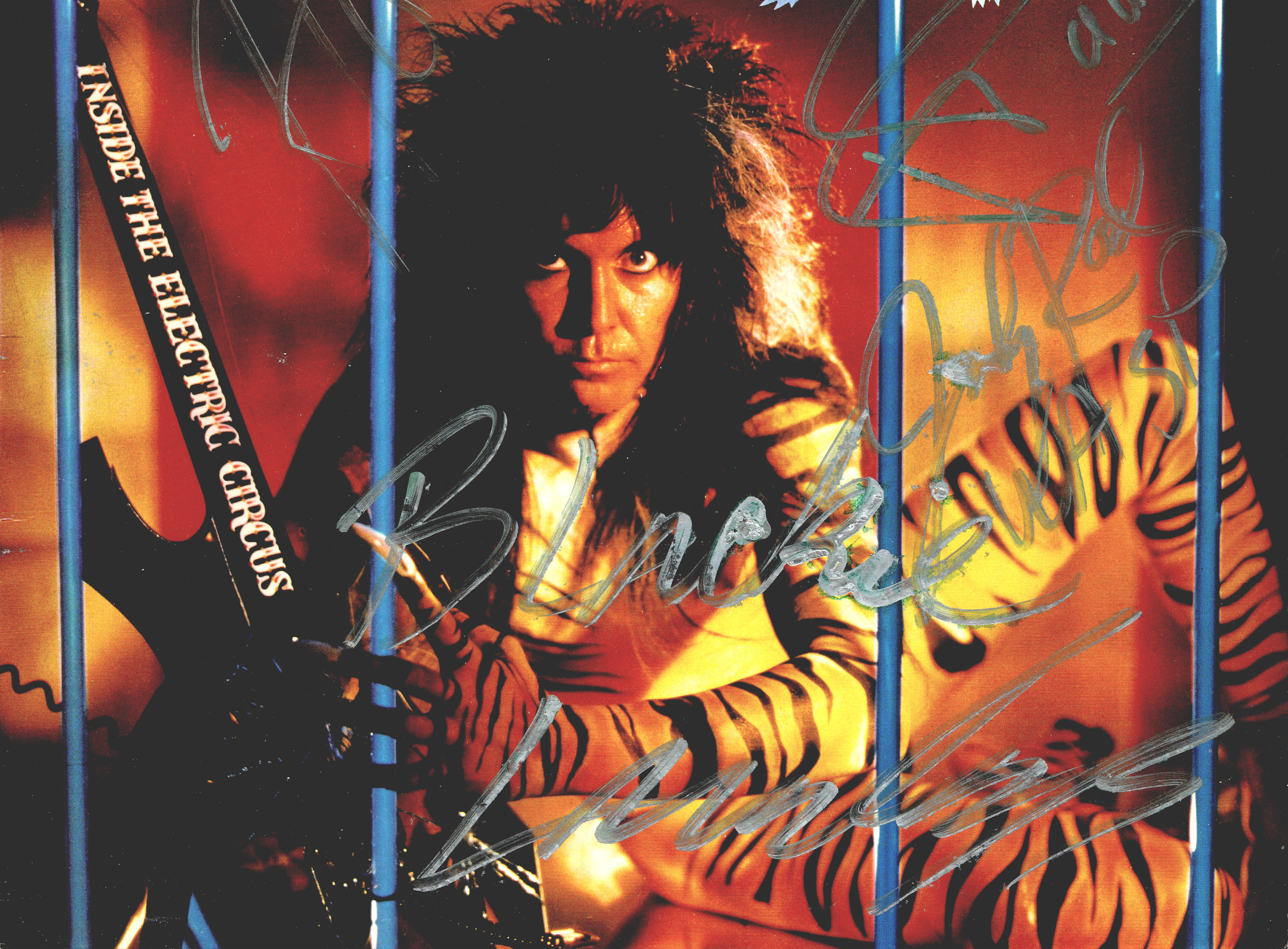 wasp, Heavy, Metal, Hard, Rock Wallpaper