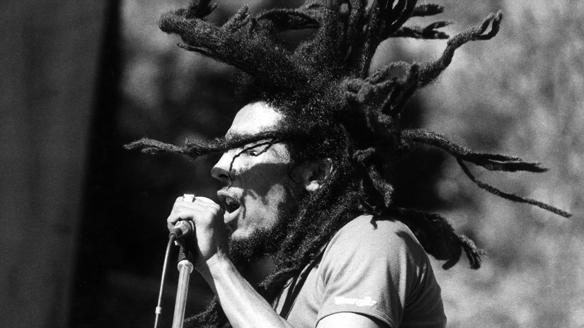 bob, Marley, And, The, Wailers, Reggae, Microphone, Concert, Concerts Wallpaper