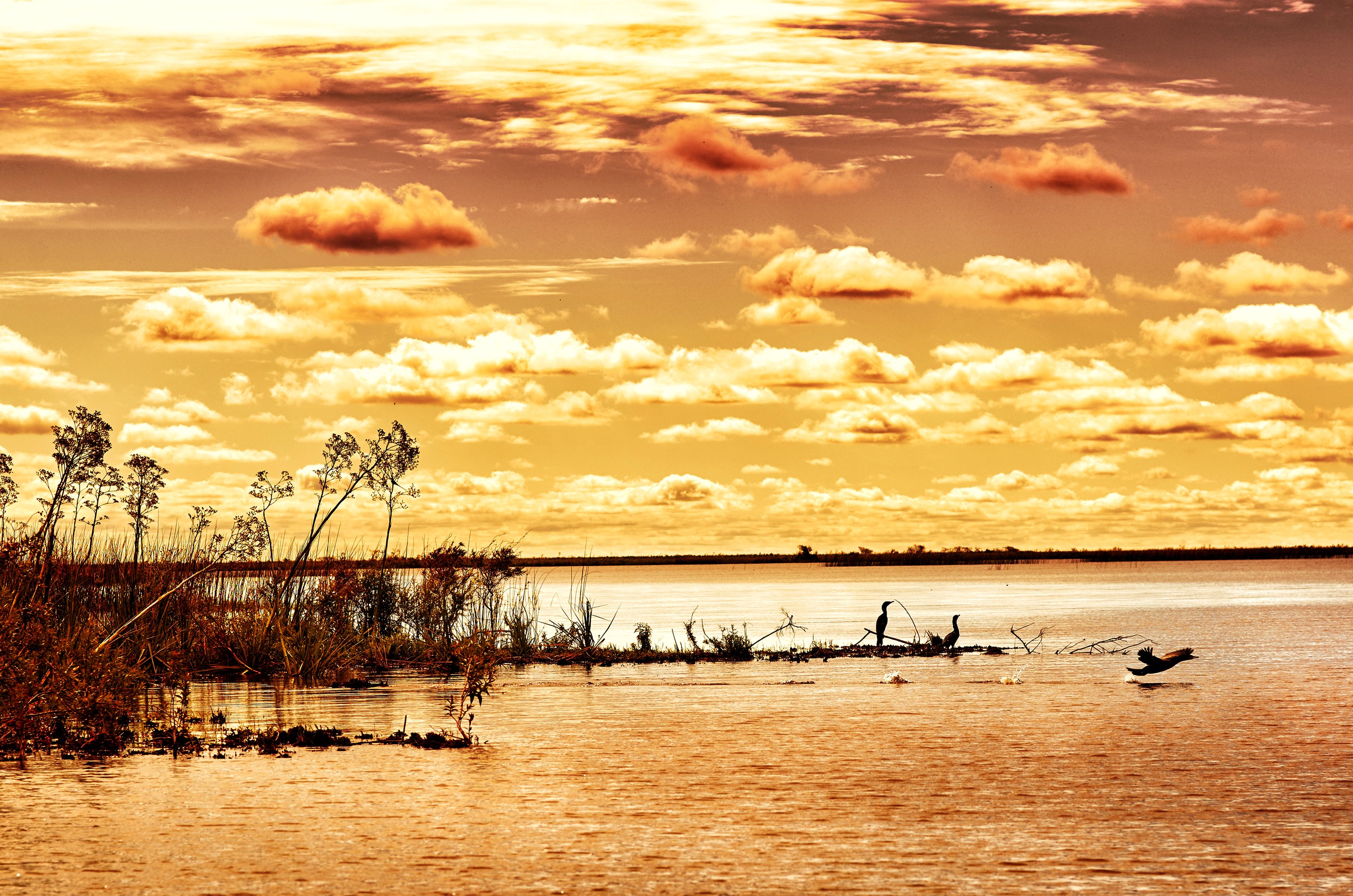 argentina, Rivers, Sunrises, And, Sunsets, Sky, Clouds, Nature, Wallpapers Wallpaper