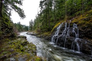 canada, Rivers, Waterfalls, Forests, Vancouver, Moss, Sooke, River, Nature