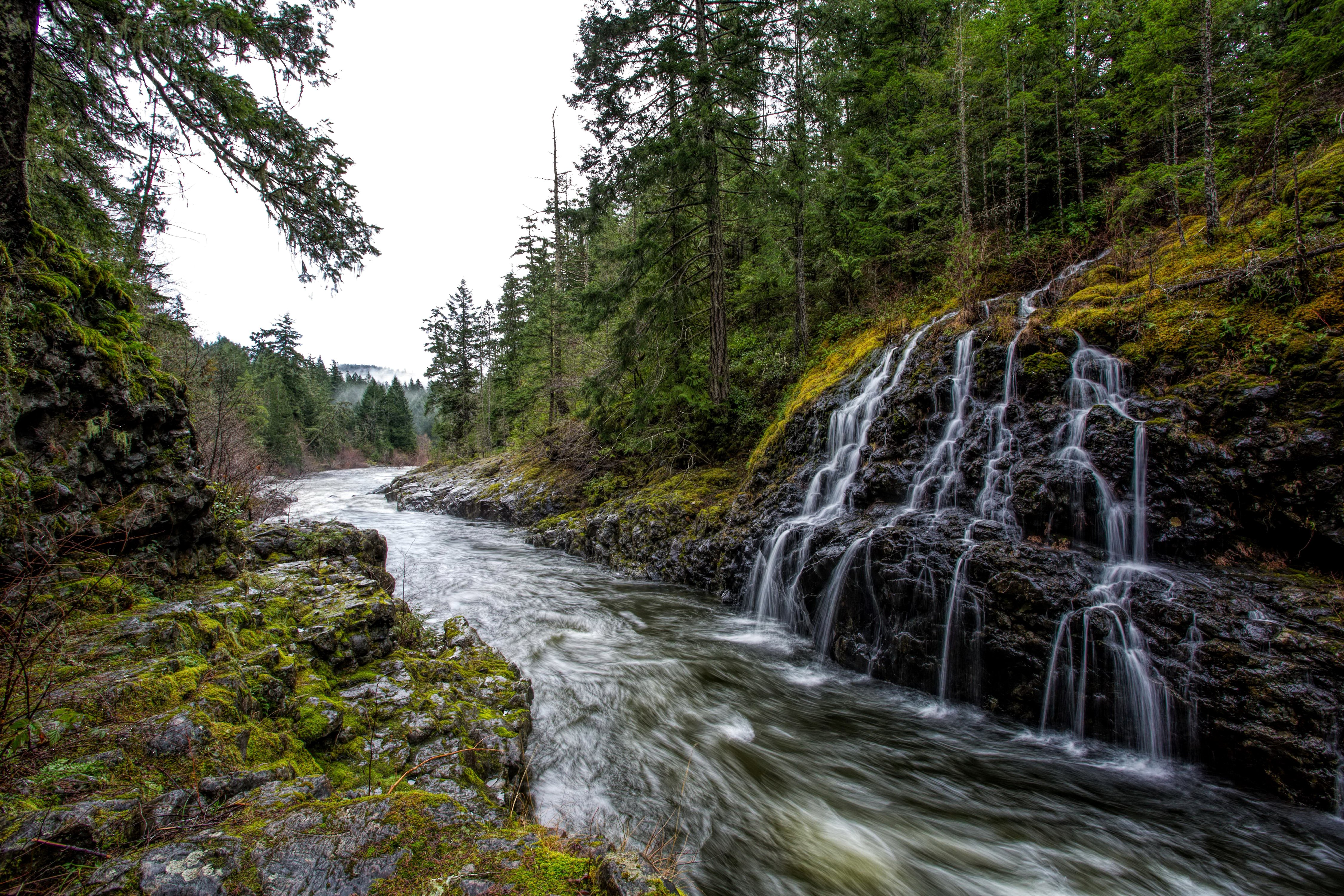 Canada Rivers Waterfalls Forests Vancouver Moss Sooke River
