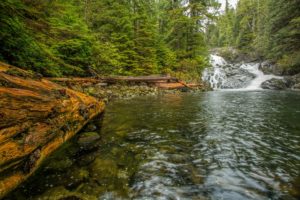 canada, Waterfalls, Rivers, Forests, Vancouver, Island, Fletcher, Falls, Walbran, Nature, Wallpapers