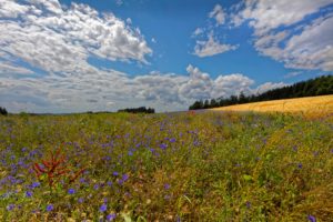 germany, Fields, Sky, Clouds, Landkern, Nature, Wallpapers