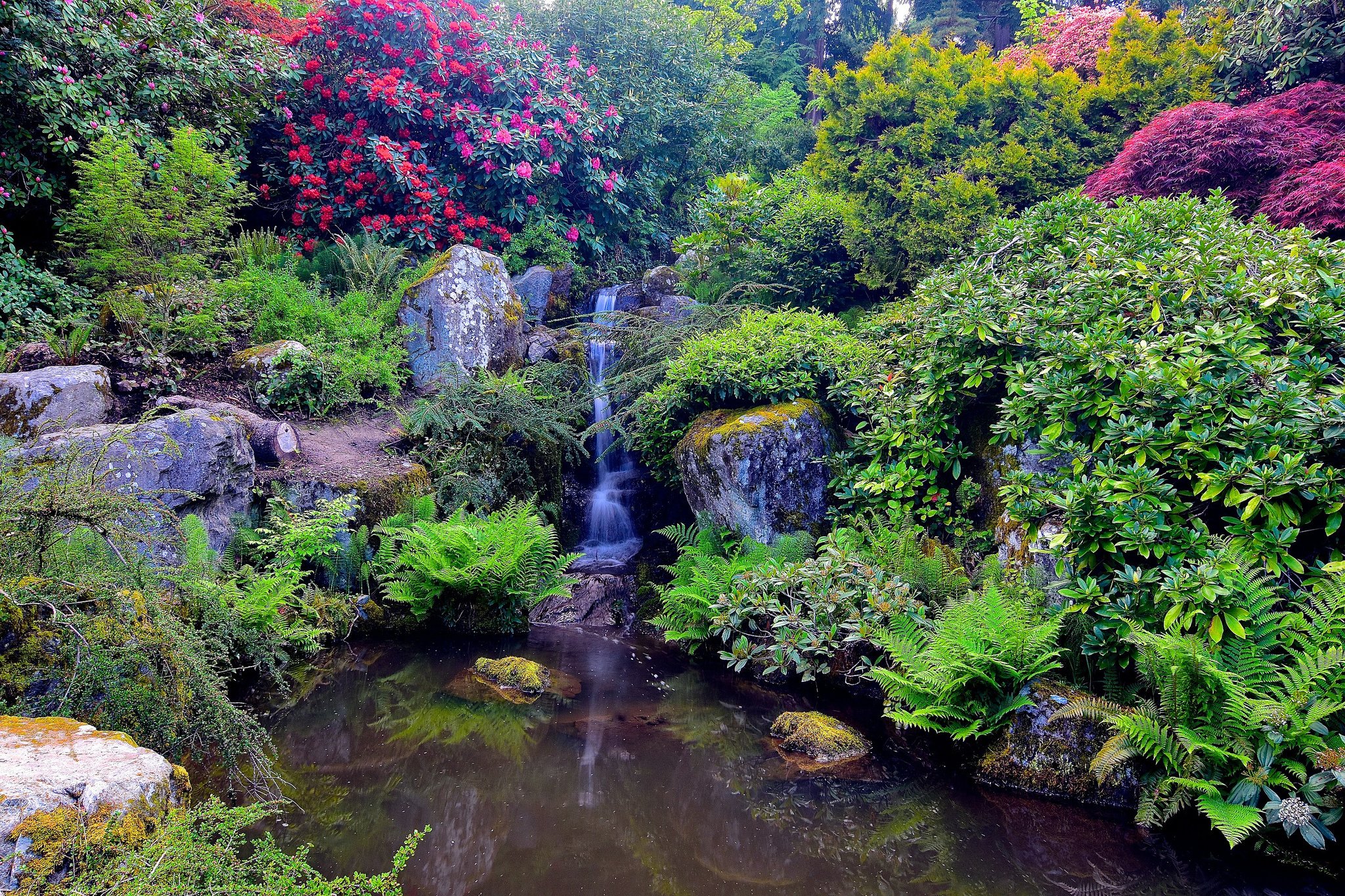 kubota, Garden, Seattle, Washington, Garden, Waterfall, Landscape Wallpaper