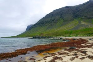 iceland, Coast, Mountains, Westfjords, Nature, Wallpapers
