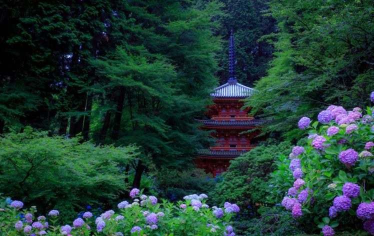 japan, Gardens, Hydrangea, Pagodas, Trees, Kyoto, Nature, Wallpapers HD Wallpaper Desktop Background