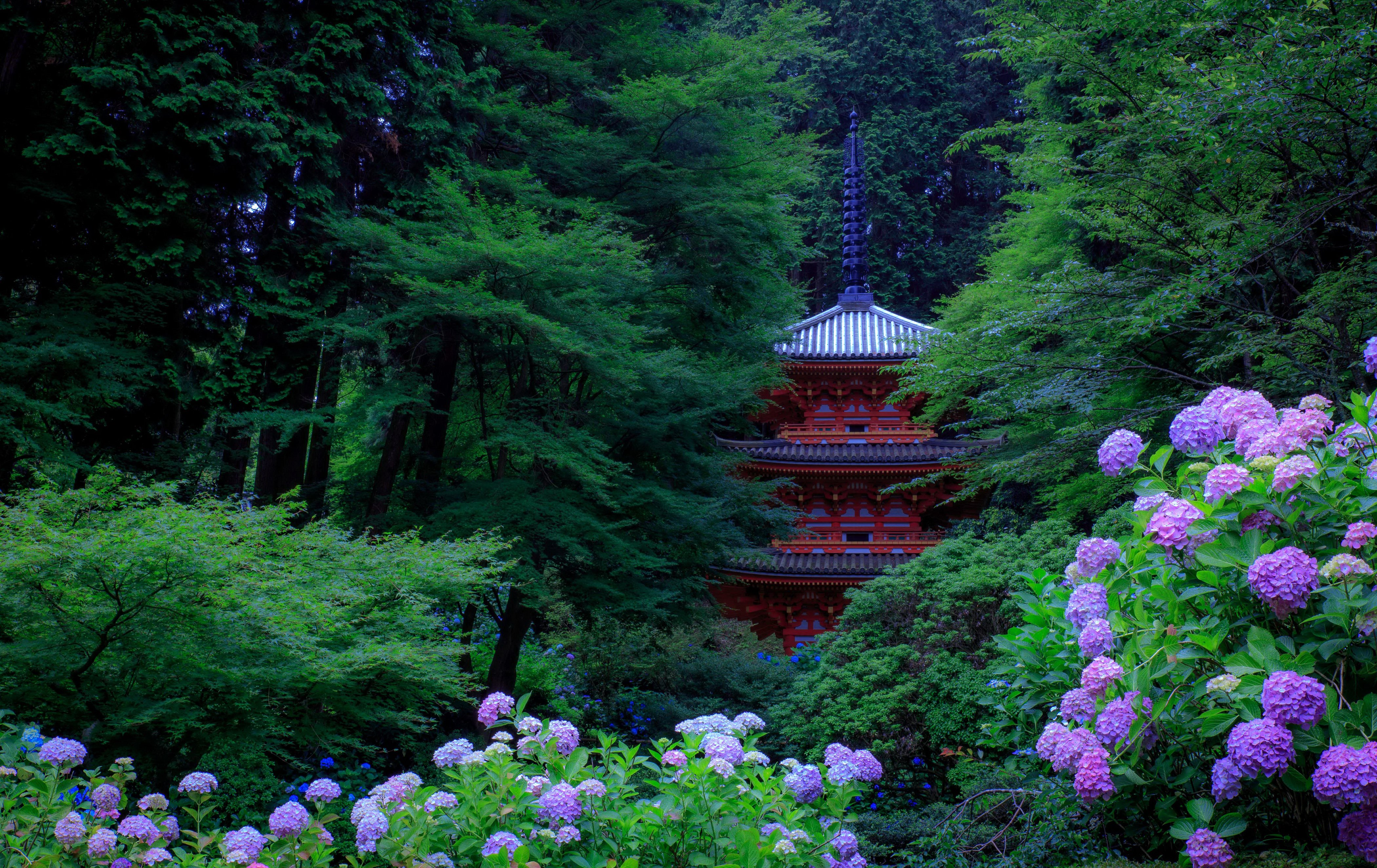 japan, Gardens, Hydrangea, Pagodas, Trees, Kyoto, Nature, Wallpapers Wallpaper