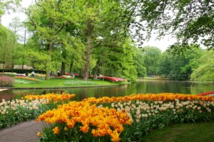 netherlands, Parks, Pond, Tulips, Trees, Keukenhof, Gardens, Nature, Wallpapers