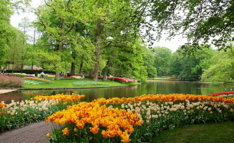 netherlands, Parks, Pond, Tulips, Trees, Keukenhof, Gardens, Nature, Wallpapers HD Wallpaper Desktop Background