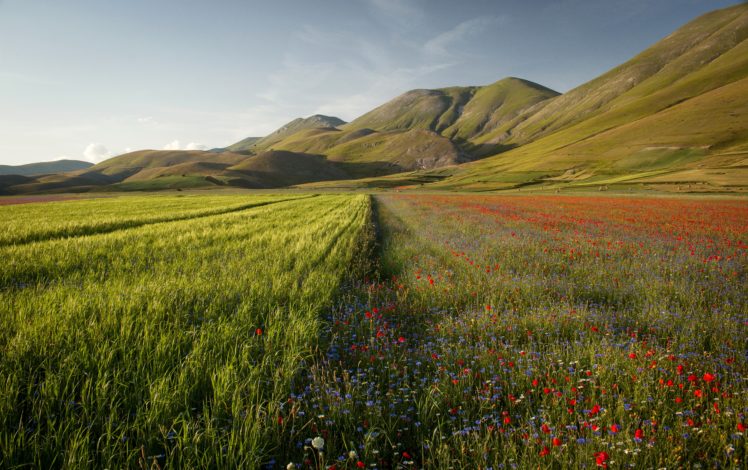 italy, Scenery, Mountains, Fields, Poppies, Castelluccio, Umbria, Nature, Wallpapers HD Wallpaper Desktop Background
