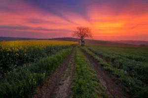 sunrises, And, Sunsets, Sky, Roads, Fields, Nature, Wallpapers
