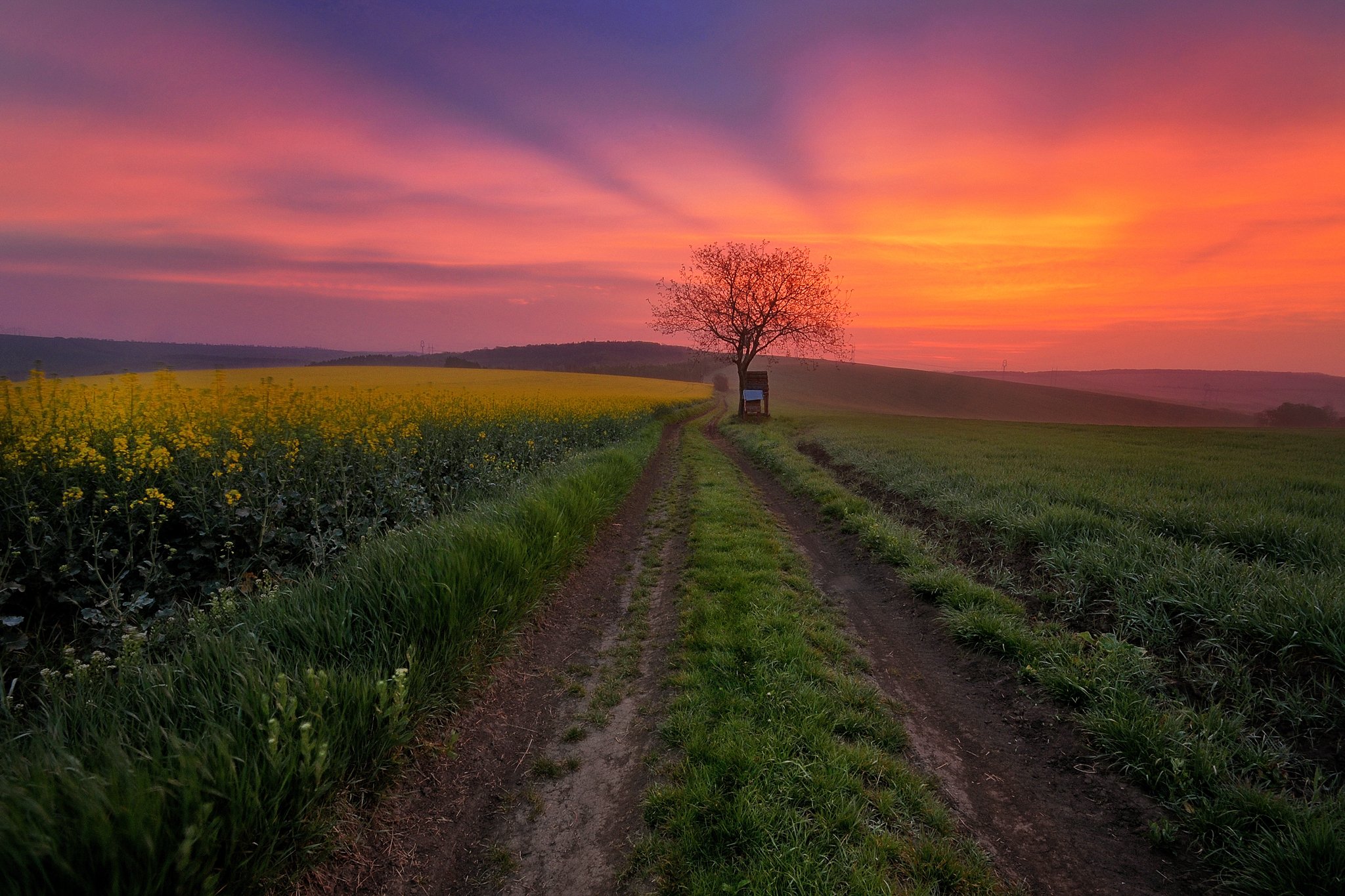 sunrises, And, Sunsets, Sky, Roads, Fields, Nature, Wallpapers Wallpaper