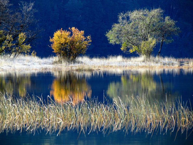 lake, Trees, Autumn HD Wallpaper Desktop Background
