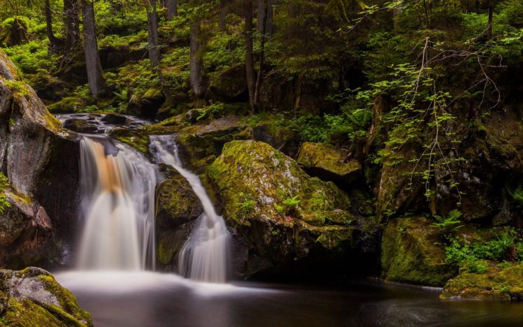 waterfall, Rock, Stone, Forest, River, Stream, Green, Trees, Nature HD Wallpaper Desktop Background