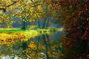 autumn, Lake, Water, Nature, Trees, Fall, Woods, Forest, Autumn, Splendor, Leaves