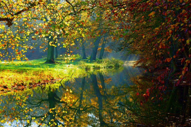 autumn, Lake, Water, Nature, Trees, Fall, Woods, Forest, Autumn, Splendor, Leaves HD Wallpaper Desktop Background